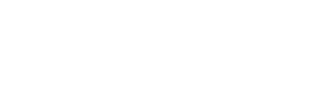 Program Partner