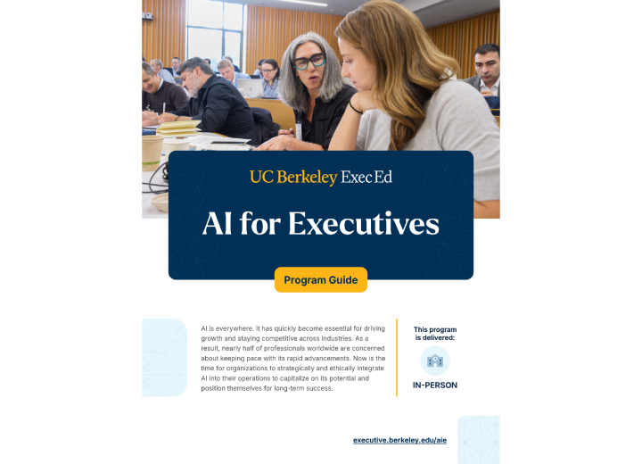 AI for Executives program guide
