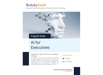 AI for Executives program guide